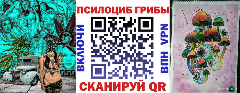Псилоцибиновые грибы GOLDEN TEACHER  Купить закладки  Иланский 